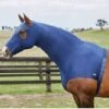 Weatherbeeta Stretch Hood With Zip - Navy 1 Weatherbeeta Stretch Hood With Zip - Navy -Equestrian Supplies Shop 589538rdy