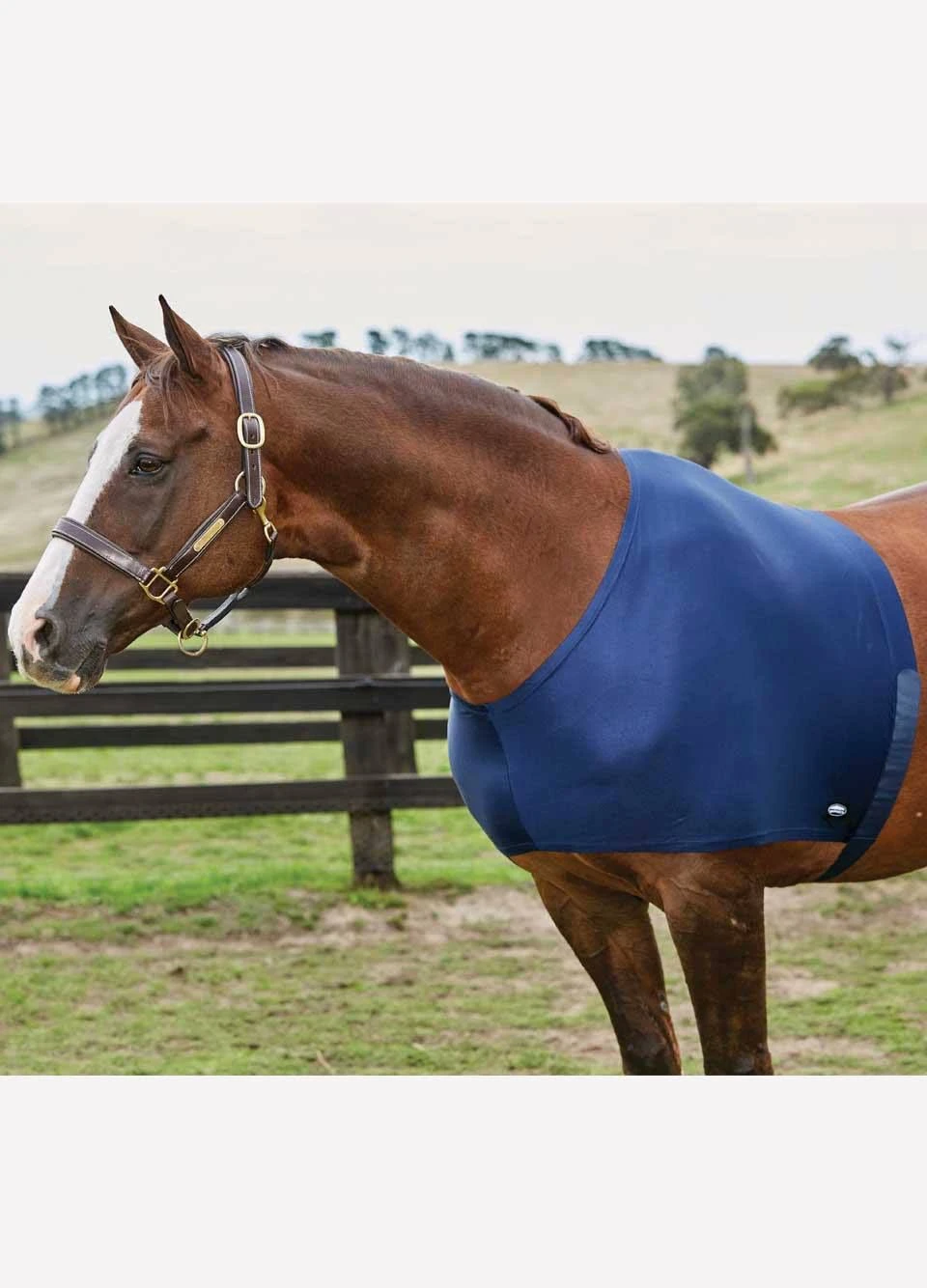 Weatherbeeta Stretch Shoulder Guard - Navy 3 Weatherbeeta Stretch Shoulder Guard - Navy