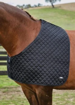 Weatherbeeta Deluxe Shoulder Guard - Black 7 Weatherbeeta Deluxe Shoulder Guard - Black -Equestrian Supplies Shop 589563brdy