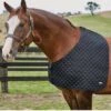 Weatherbeeta Deluxe Shoulder Guard - Black 2 Weatherbeeta Deluxe Shoulder Guard - Black -Equestrian Supplies Shop 589563rdy