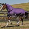 Weatherbeeta ComFiTec Plus Dynamic Detach-A-Neck Med - Purple/Black 1 Weatherbeeta ComFiTec Plus Dynamic Detach-A-Neck Med - Purple/Black -Equestrian Supplies Shop 801159rdy