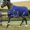 Weatherbeeta Comfitec Essential Std Lite Turnout - Nvy/Svr/Red -Equestrian Supplies Shop 801464rdy
