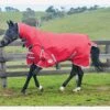 Weatherbeeta ComFiTec Classic Combo Heavy - Red/Silver/Navy 1 Weatherbeeta ComFiTec Classic Combo Heavy - Red/Silver/Navy -Equestrian Supplies Shop 801493rdy