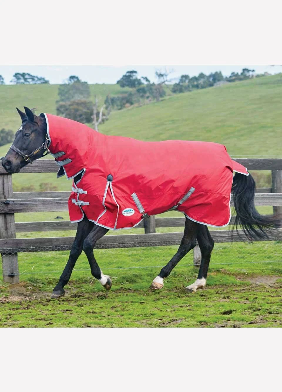 Weatherbeeta ComFiTec Classic Combo Heavy - Red/Silver/Navy 3 Weatherbeeta ComFiTec Classic Combo Heavy - Red/Silver/Navy