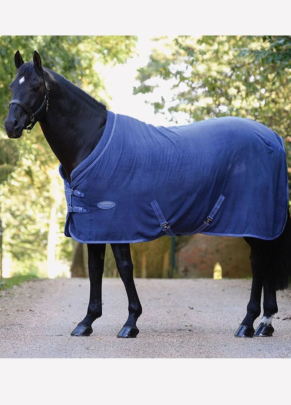 Weatherbeeta Cozi-Dri Standard Neck Fleece Rug - Blue/Grey 3 Weatherbeeta Cozi-Dri Standard Neck Fleece Rug - Blue/Grey