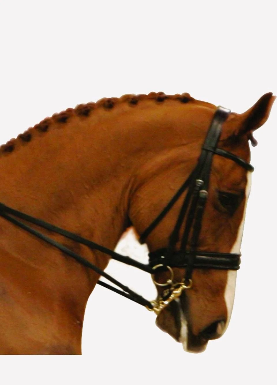 Albion KB Competition Crank Double Bridle - Black 3 Albion KB Competition Crank Double Bridle - Black