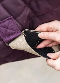 Amigo Stable Plus Medium Disc - Fig -Equestrian Supplies Shop amgostableplus2rdy