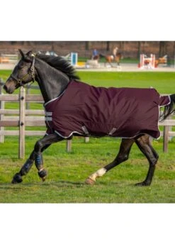 Amigo Hero Ripstop 200g Medium - Fig/Silver