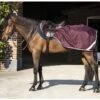 Amigo Ripstop Competition Sheet - Fig/Navy -Equestrian Supplies Shop amigocompsheetfigrdy 1