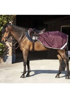 Amigo Ripstop Competition Sheet - Fig/Navy