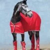 Amigo Jersey Cooler Rug - Red/White/Green -Equestrian Supplies Shop amigocooler.red .rdy