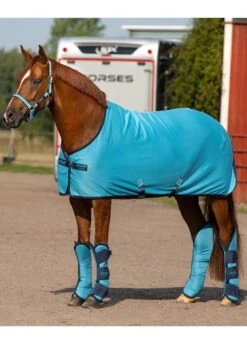 Amigo Ripstop Travel Boots - Delphinium -Equestrian Supplies Shop amigocoolerdelphrdy 1