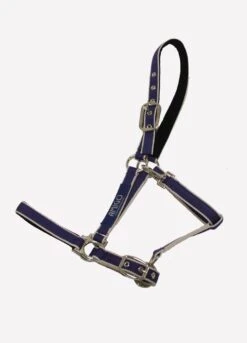 Amigo Headcollar - Atlantic