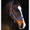 Amigo Headcollar - Navy/Silver -Equestrian Supplies Shop amigoheadcollar navy slv
