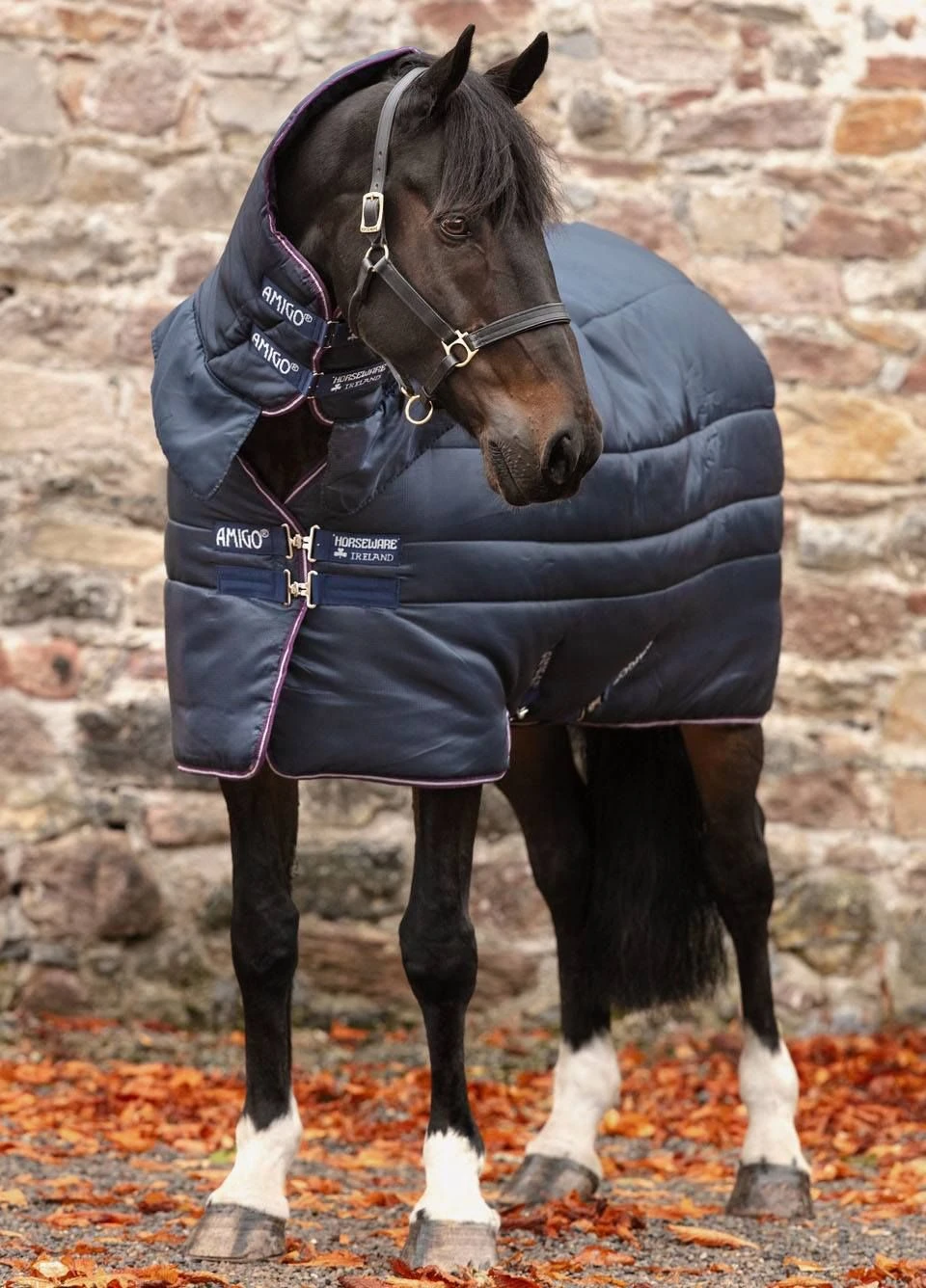 Amigo Insulator All-In-One Heavy - Navy/Plum 3 Amigo Insulator All-In-One Heavy - Navy/Plum