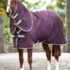 Amigo Stable Plus Medium Disc - Fig -Equestrian Supplies Shop amigostableplus4rdy