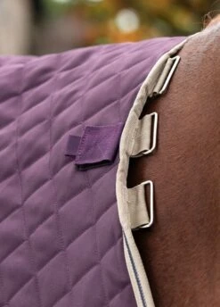 Amigo Stable Plus Medium Disc - Fig -Equestrian Supplies Shop amigostableplusrdy