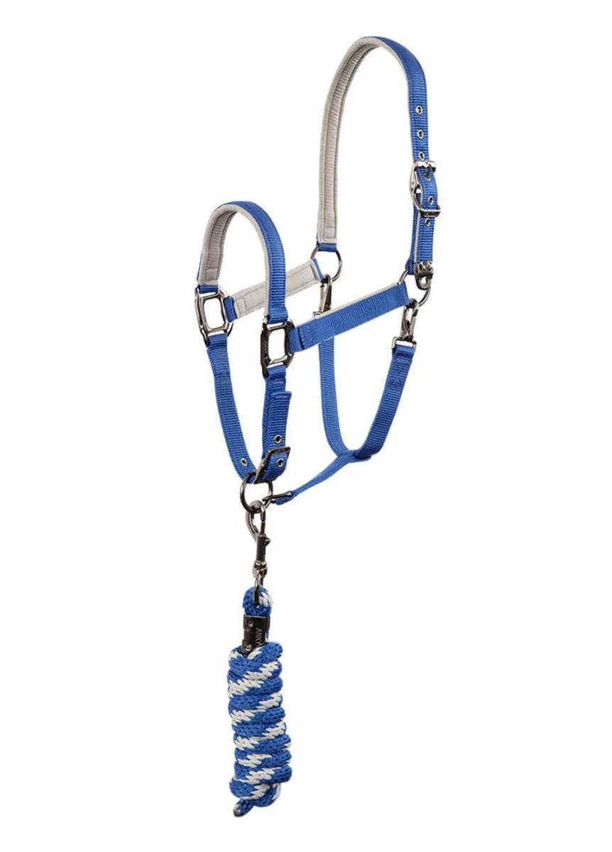 Anky Halter & Lead - Queens Blue 3 Anky Halter & Lead - Queens Blue