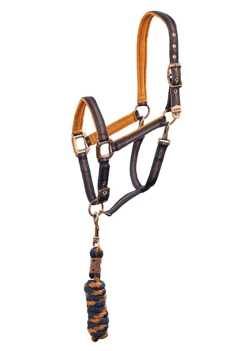 Anky Halter & Lead - Dark Navy 3 Anky Halter & Lead - Dark Navy