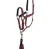 Anky Halter & Lead - Tawny Port -Equestrian Supplies Shop ankyheadcollarport1rdy