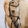 PS Of Sweden Athens Bridle - Black -Equestrian Supplies Shop athensblk3rdy