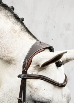 PS Of Sweden Athens Bridle - Brown -Equestrian Supplies Shop athensbrn2rdy