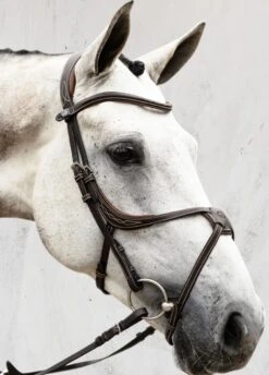 PS Of Sweden Athens Bridle - Brown -Equestrian Supplies Shop athensbrn3rdy