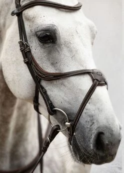 PS Of Sweden Athens Bridle - Brown -Equestrian Supplies Shop athensbrn5rdy