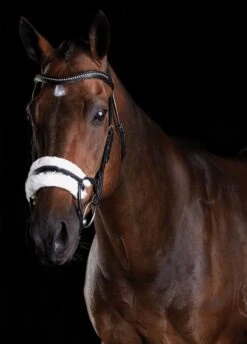 Collegiate ComFiTec Sheepskin Bridle - Black