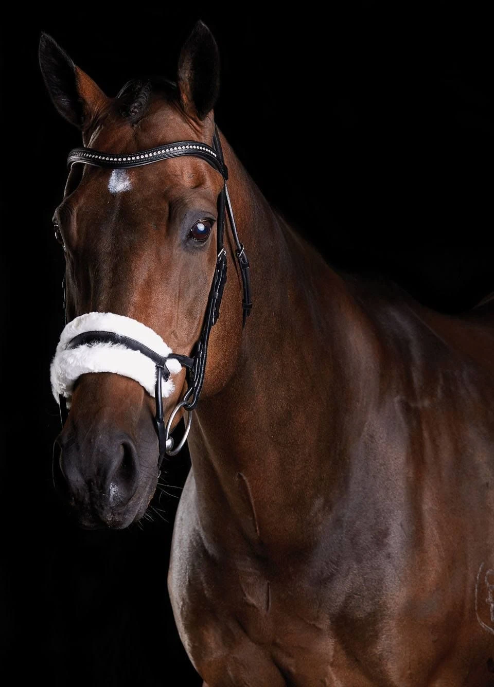 Collegiate ComFiTec Sheepskin Bridle - Black 3 Collegiate ComFiTec Sheepskin Bridle - Black