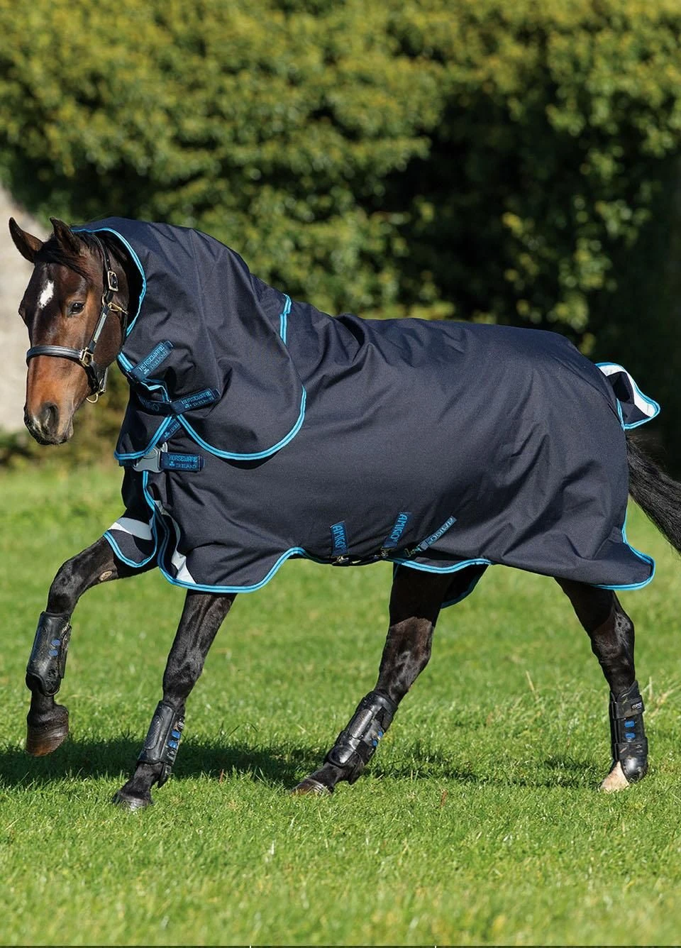 Amigo Bravo Plus 50g Turnout Bundle - Dark Navy/Electric Blue 3 Amigo Bravo Plus 50g Turnout Bundle - Dark Navy/Electric Blue