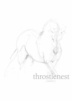 Amigo Bravo Plus 100g Turnout - Navy/Gold/Red -Equestrian Supplies Shop bravoplus100gnvygoldrdy