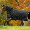 Amigo Bravo 12 Plus Medium Turnout - Black/Strong Blue & Black -Equestrian Supplies Shop bravoplusmedblkstrblrdy