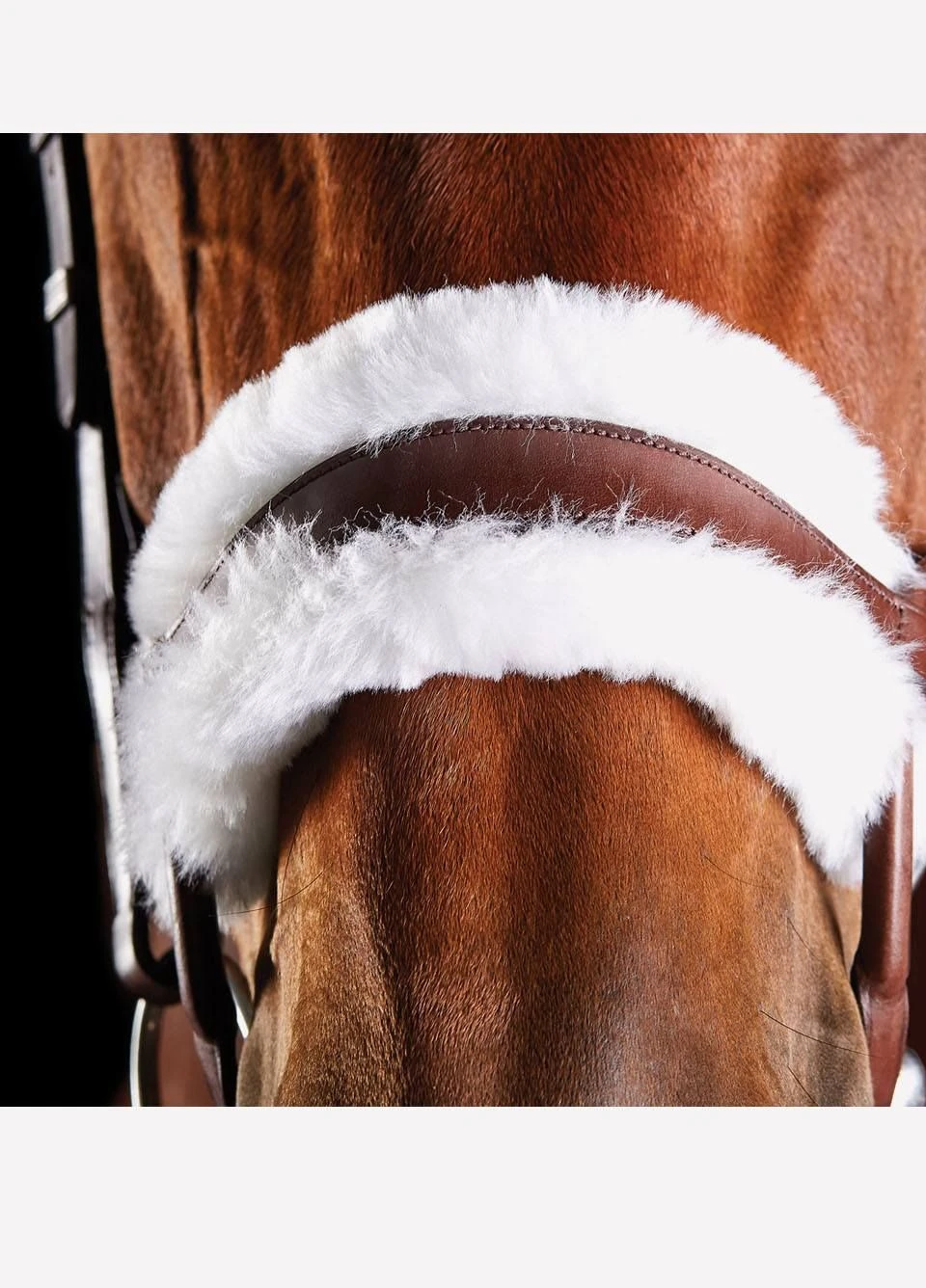 Collegiate ComFiTec Sheepskin Bridle - Brown 5 Collegiate ComFiTec Sheepskin Bridle - Brown - Image 3