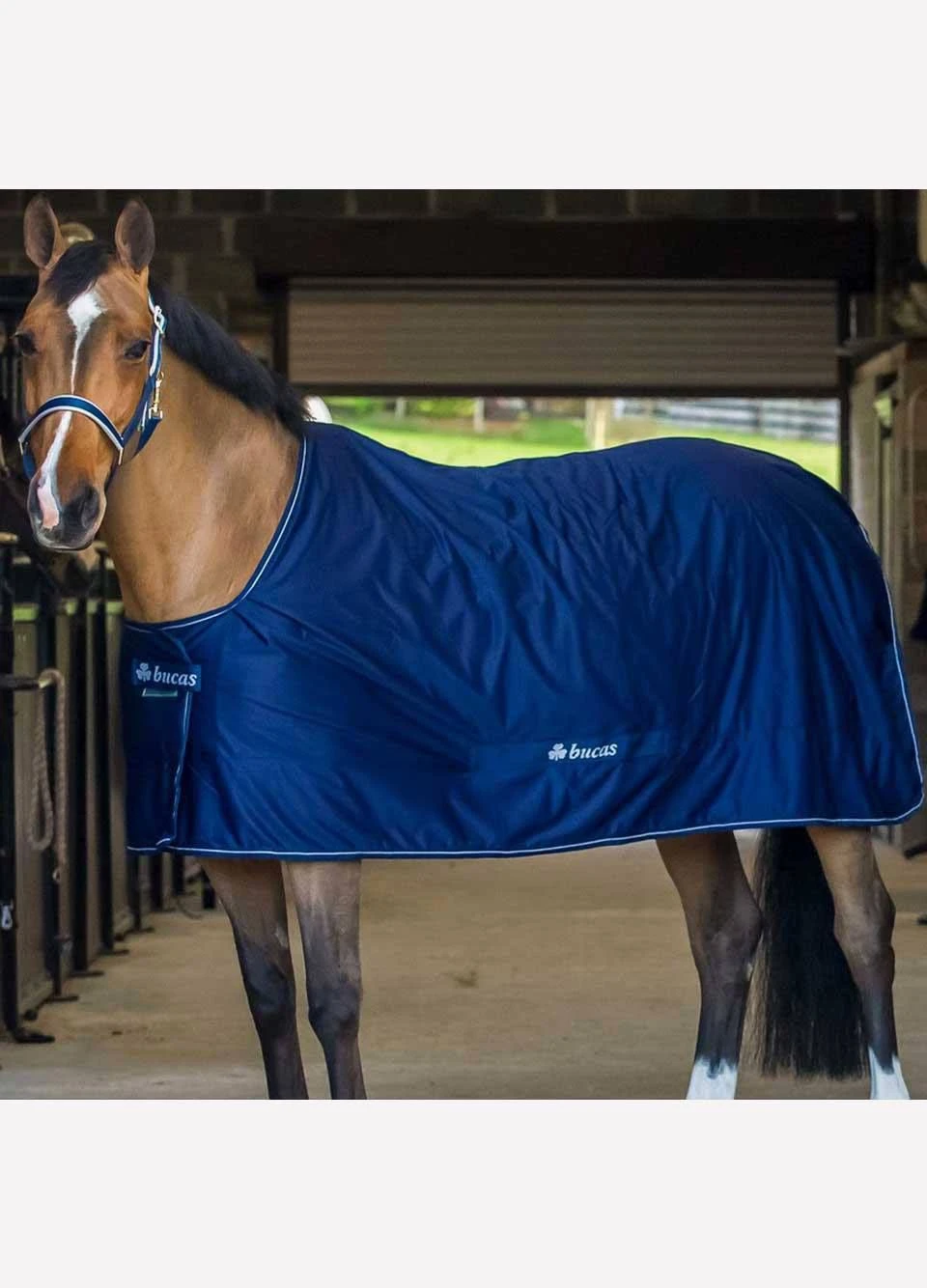 New Bucas Shamrock Power Rug - Navy 3 New Bucas Shamrock Power Rug - Navy
