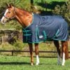 Weatherbeeta ComFiTec Classic Standard Neck Medium Turnout - Black/Green -Equestrian Supplies Shop classicstdblkrdy