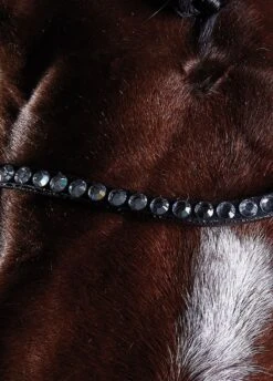 Collegiate Comfitec Crystal Training Bridle - Brown -Equestrian Supplies Shop collcrystal