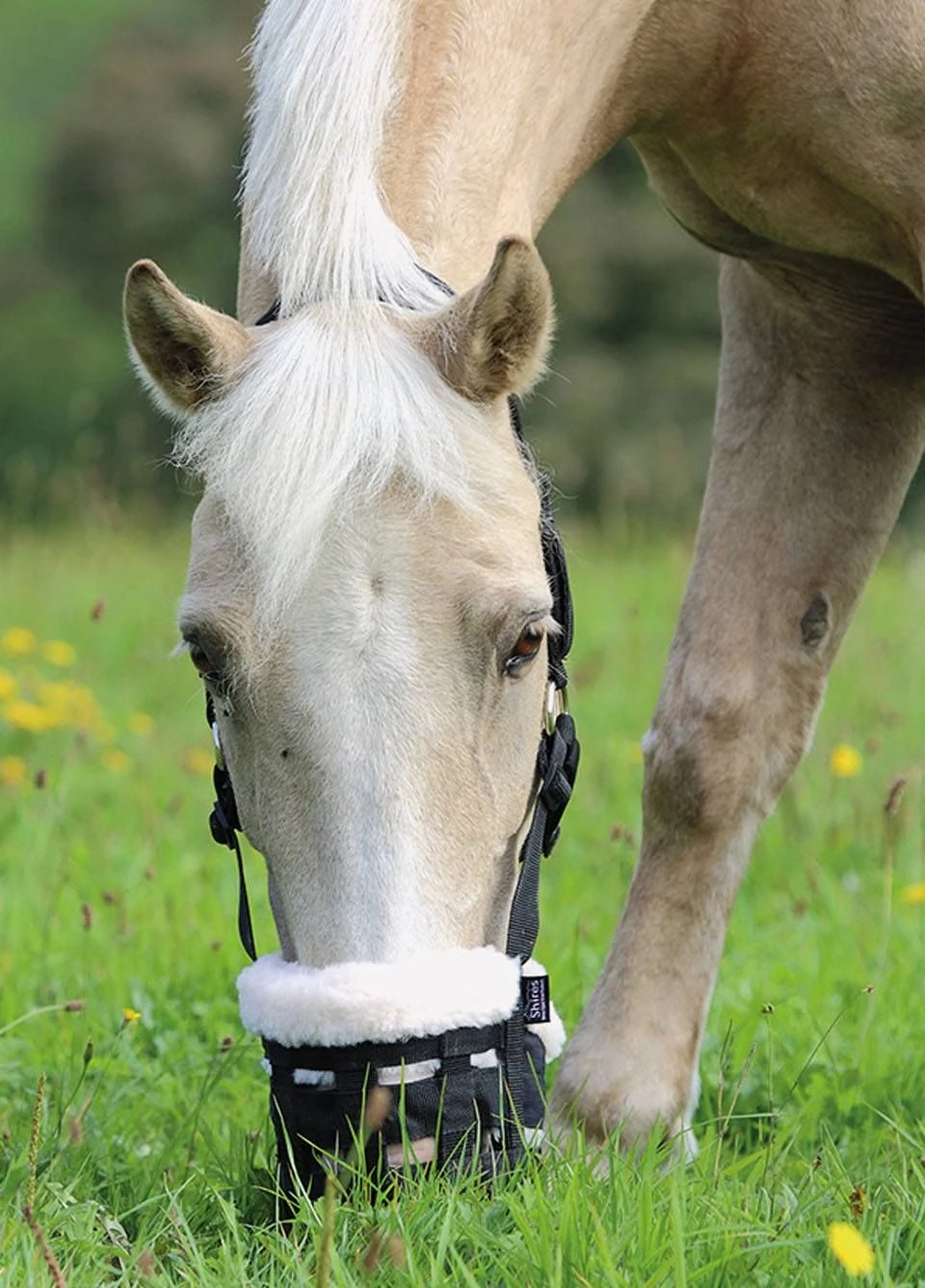 Shires Deluxe Comfort Grazing Muzzle - Black 3 Shires Deluxe Comfort Grazing Muzzle - Black
