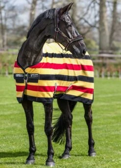 Rambo Deluxe Fleece - Witney Gold Stripe