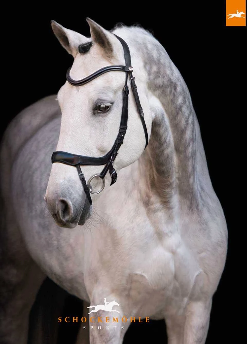 Schockemohle Equitus Alpha Bridle - Black 3 Schockemohle Equitus Alpha Bridle - Black