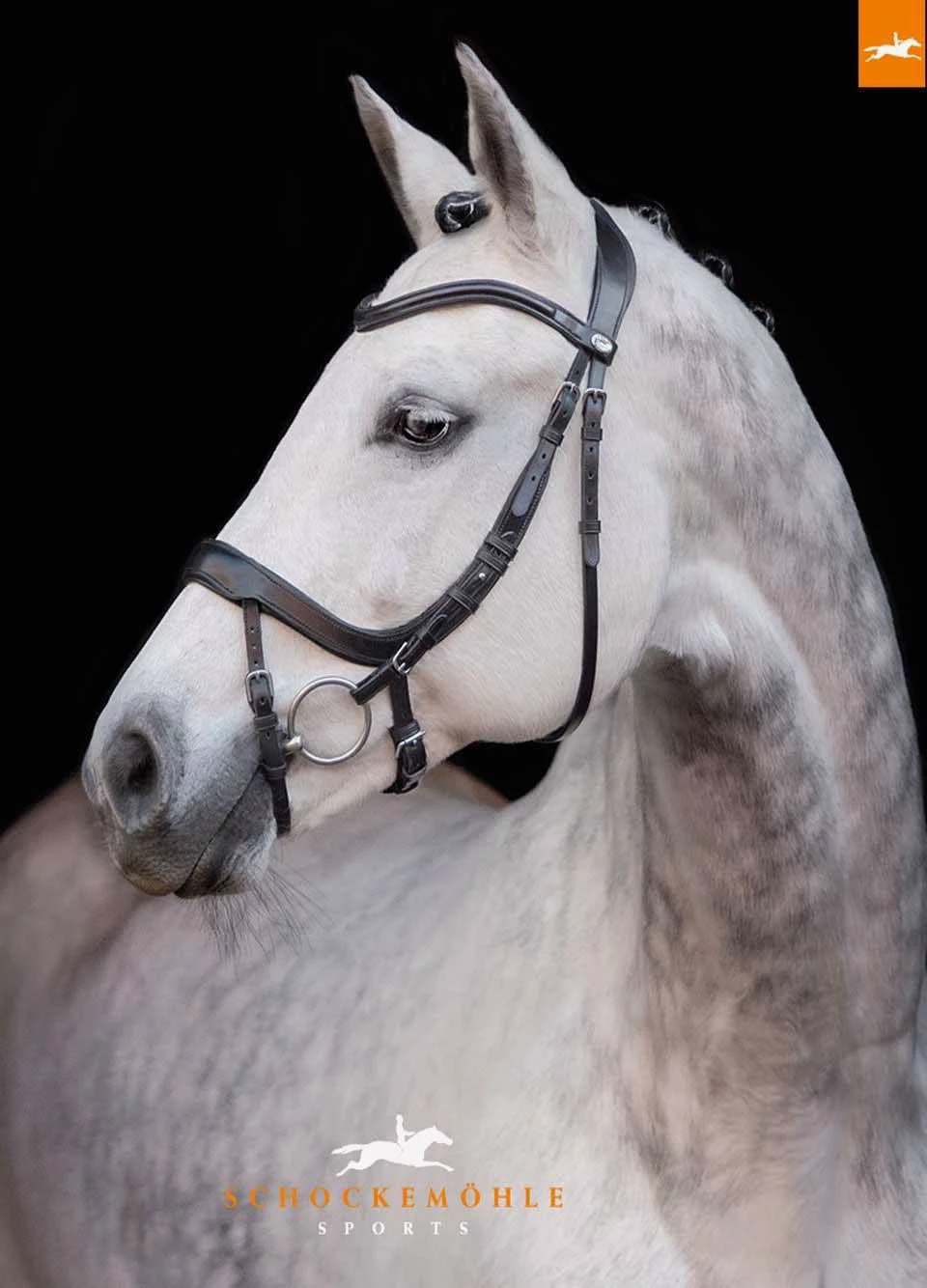Schockemohle Equitus Alpha Bridle - Black 4 Schockemohle Equitus Alpha Bridle - Black - Image 2