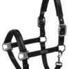 Eskadron Shinegloss Headcollar - Black -Equestrian Supplies Shop esk shinegloss headcollar black 1rdy