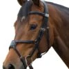 Fairfax Grackle Noseband - Black -Equestrian Supplies Shop fairfax grackle noseband black 1rdy