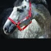 Horseware Fieldsafe Headcollar - Red 1 Horseware Fieldsafe Headcollar - Red -Equestrian Supplies Shop fieldsafered