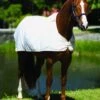 Horseware Fly Rug Liner - White -Equestrian Supplies Shop flyrugliner 1