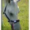 Equilibrium Field Relief Muzzle Protector - Grey -Equestrian Supplies Shop fm 2012 02 16 11 38 02 68660