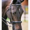 Equilibrium Net Relief Muzzle Net -Black 2 Equilibrium Net Relief Muzzle Net -Black -Equestrian Supplies Shop fm 2012 02 16 11 39 16 69964
