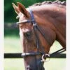 Equilibrium Net Relief Muzzle Net -Brown -Equestrian Supplies Shop fm 2012 02 16 11 39 53 27488