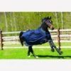 Amigo Bravo 12 100g Turnout Rug - Navy/Electric Blue 2 Amigo Bravo 12 100g Turnout Rug - Navy/Electric Blue -Equestrian Supplies Shop fm 2013 03 07 03 03 20 59387