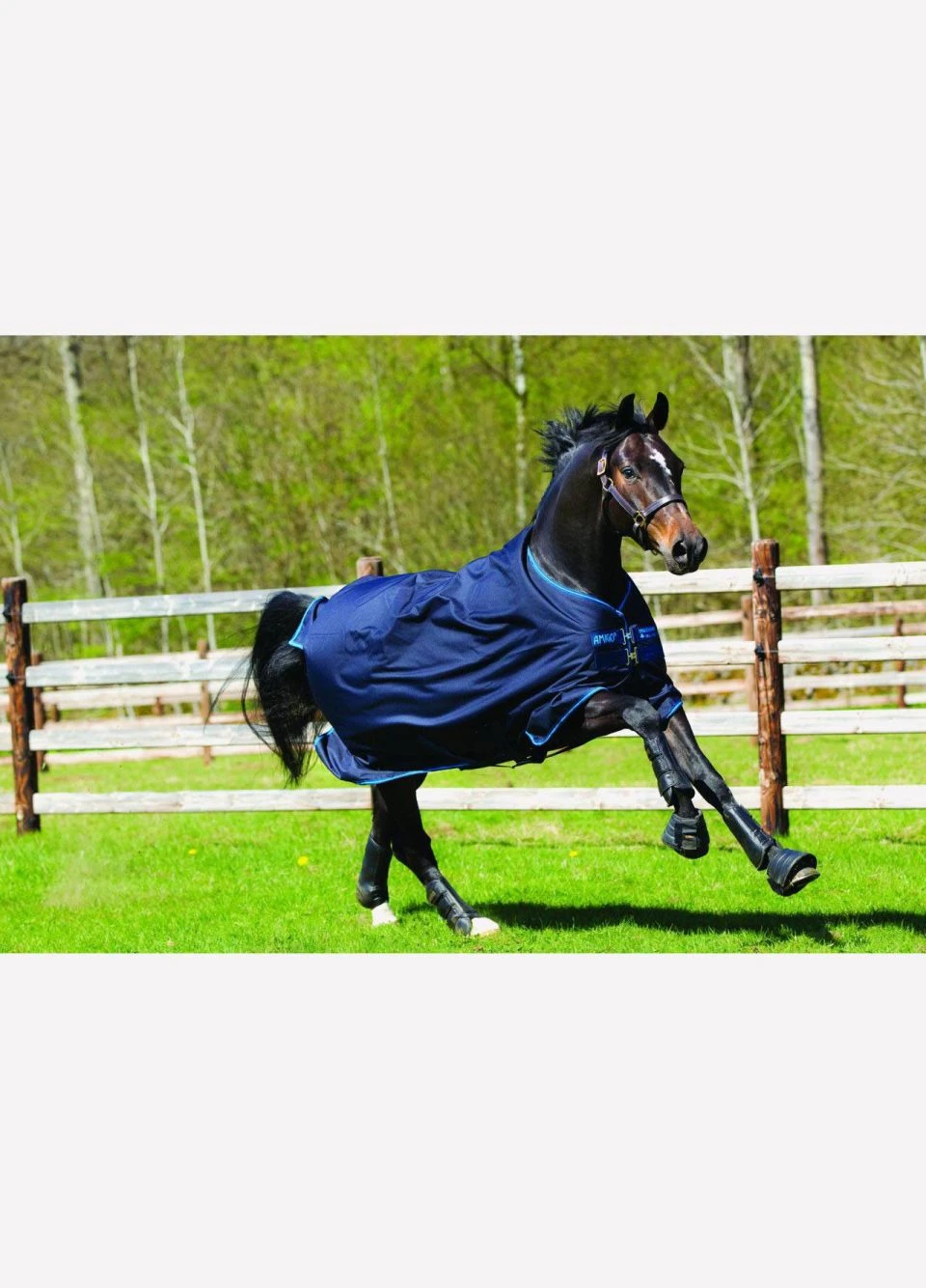 Amigo Bravo 12 100g Turnout Rug - Navy/Electric Blue 3 Amigo Bravo 12 100g Turnout Rug - Navy/Electric Blue